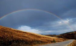 Taking it to the streets