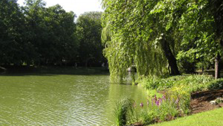 Working at not working