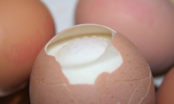 What’s for dinner?