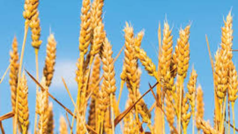 Cutting Corners: Five Thoughts on Generosity