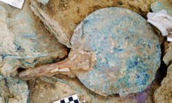 Picture This: What is it? #3