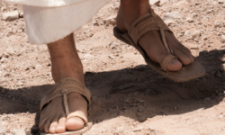 Dust from His feet