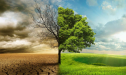 The More Abundant Life