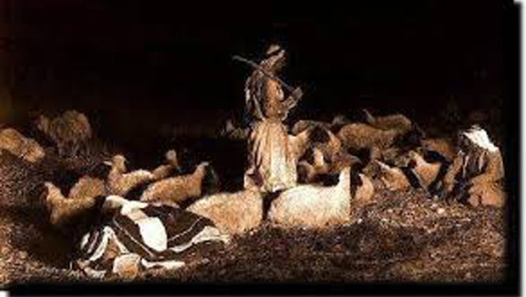 Just an (extra) ordinary night