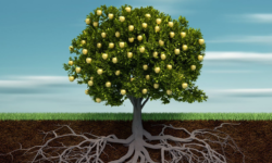 Fruit of the Spirit: Not mine but His