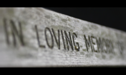 Understanding Death: Not