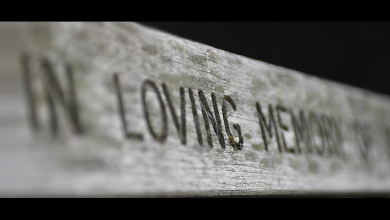 Understanding Death: Not