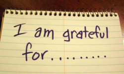 Persisting in Gratitude
