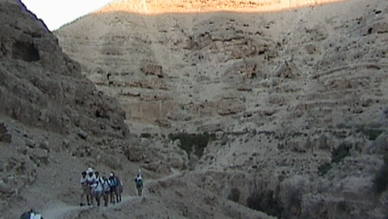 Learn with your Feet