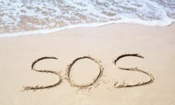 Do you need a visit?