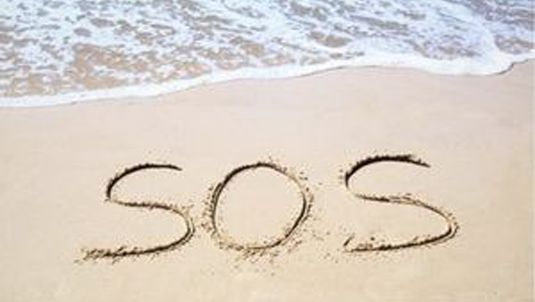 Do you need a visit?