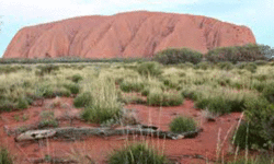 The Bitter Water Healed