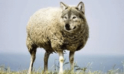 Leadership Gone Wrong: The Flockless Shepherd