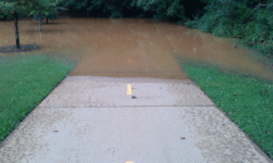 Lord Willing and the Creek don’t Rise