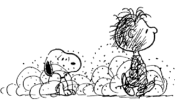 Dust of Forbidden Speech