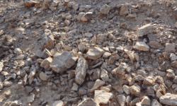 Green Pasture: Sufficient Abundance