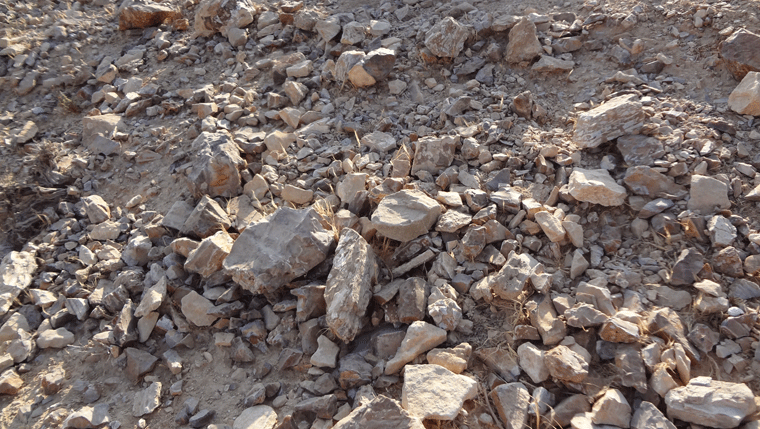 Green Pasture: Sufficient Abundance