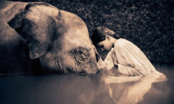 Blessed are the meek