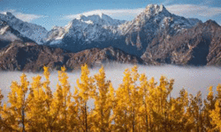 God calls you: Masterpiece