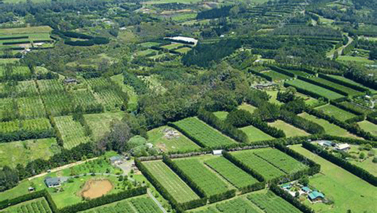 The Lord is my Portion