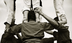 Stand on my shoulders