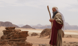 Lessons from the wilderness: Moses