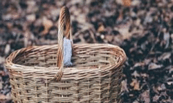 God’s strange provision