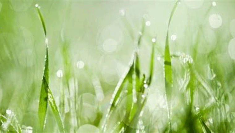 Jehovah Jireh: The One who takes care of it