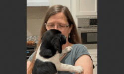 I will always take care of you