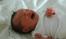 El Chuwl: The God who gave you birth