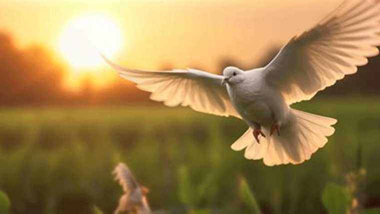 The Lord give you peace