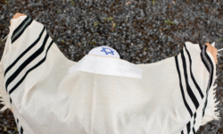 Our Priestly Blessing