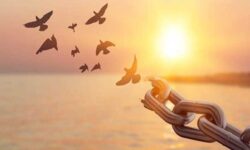 Aphiemi – Let it Go