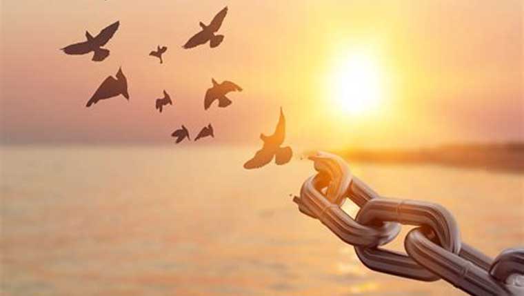 Aphiemi – Let it Go