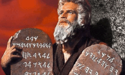 Filling in the White Spaces