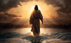 I AM the Way, the Truth, and the Life