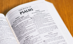 The Words of Jesus: the Psalms